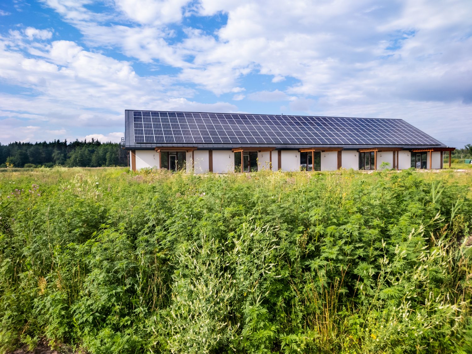 Energieeffizienzberatung für Unternehmen & Gewerbe 1 AdobeStock 521625514